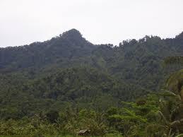 Pandeglang Dan Gunung Aseupan Yang Bernuansa Mistis Penuh Keindahan