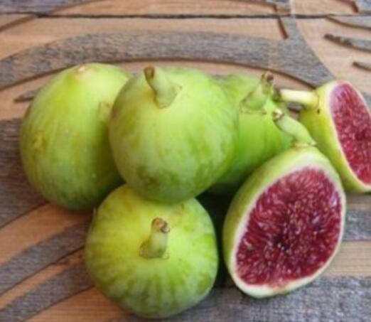 Apa itu buah tin? Jenis buah tin nomer 9 yang bikin takjub.