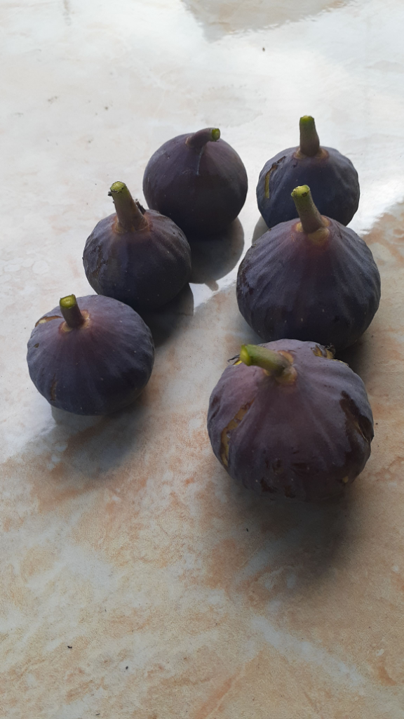 Apa itu buah tin? Jenis buah tin nomer 9 yang bikin takjub.