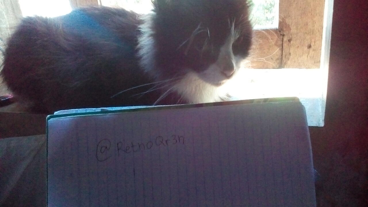 Mpus, Kucing Peliharaan Kakak yang Nurut Banget