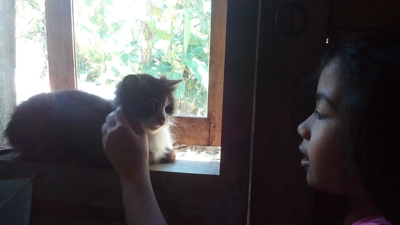Mpus, Kucing Peliharaan Kakak yang Nurut Banget