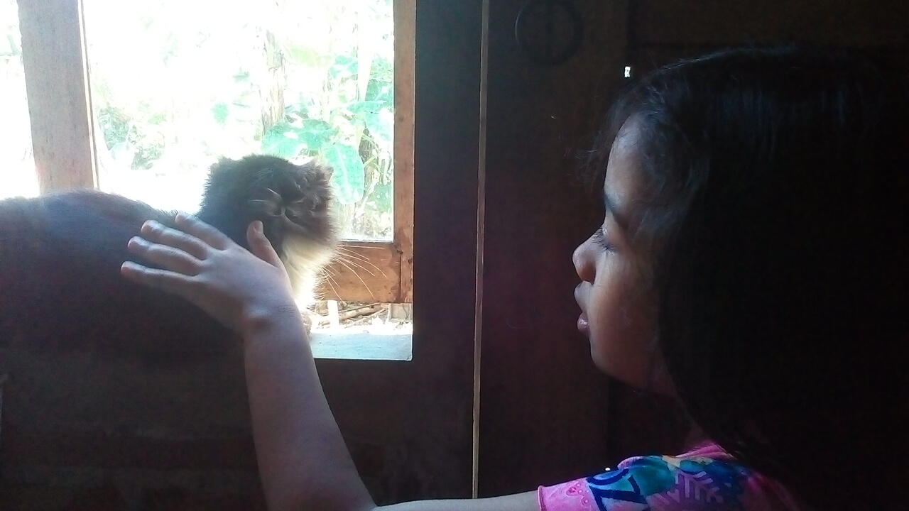 Mpus, Kucing Peliharaan Kakak yang Nurut Banget
