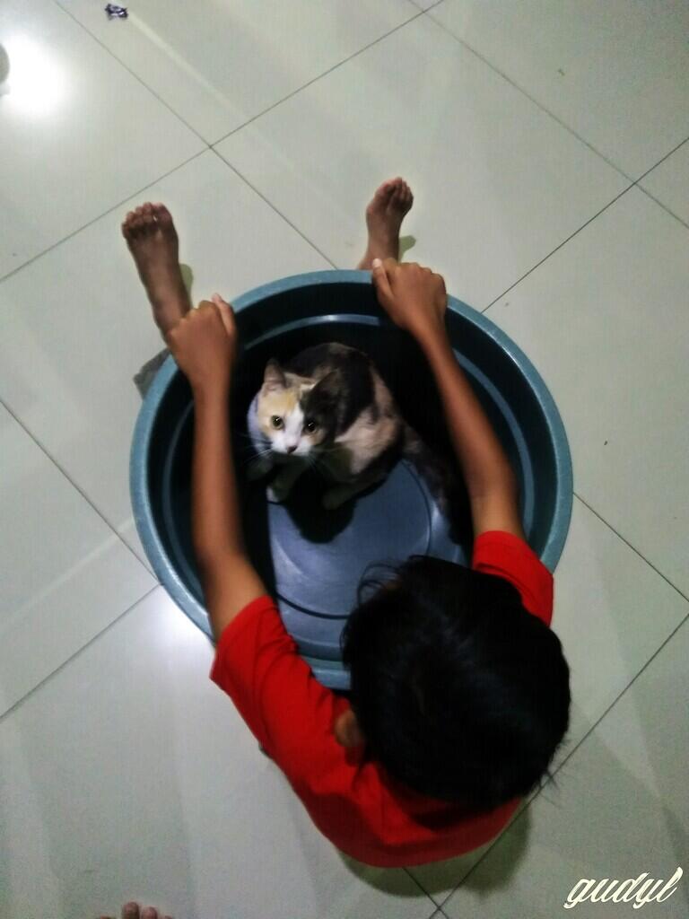 Chiren, Kucing yang Pernah Keguguran Sampe Patah Di Bagian Tulang Ekornya