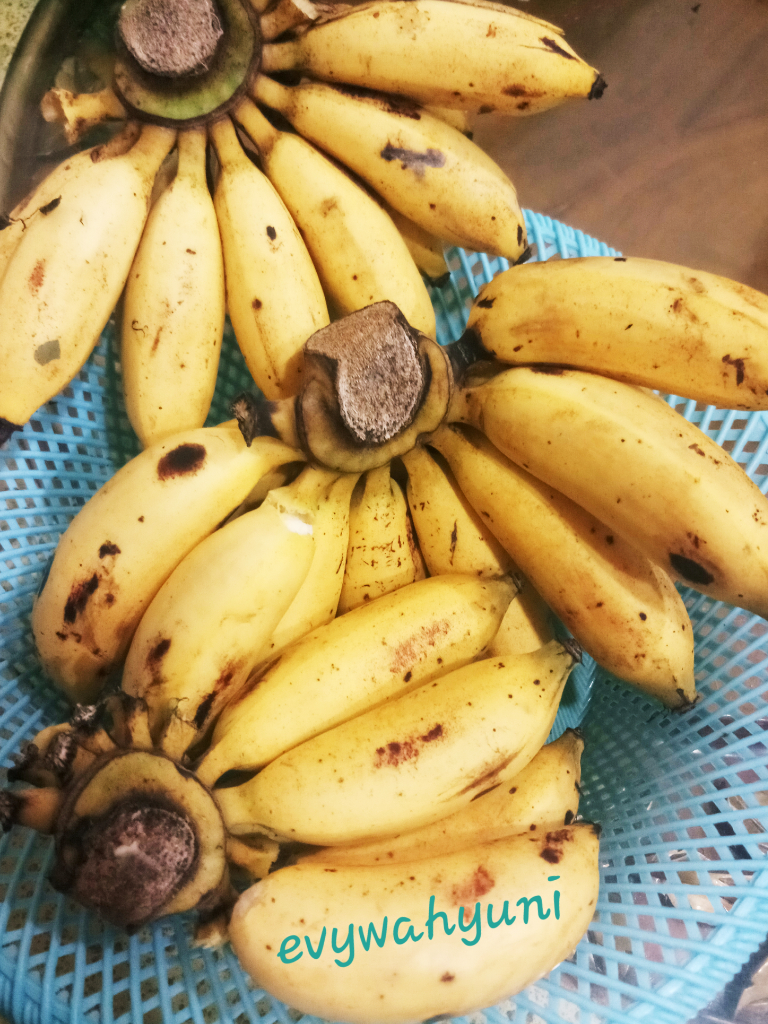 Similikiti, Si Cantik Penyuka Buah Kersen