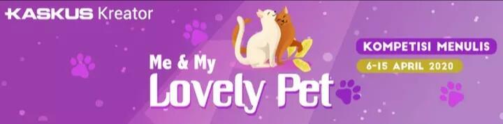 Mumpung Di Rumah, Lanjutin Hobi Pelihara Ikan Yang Suka Tertunda