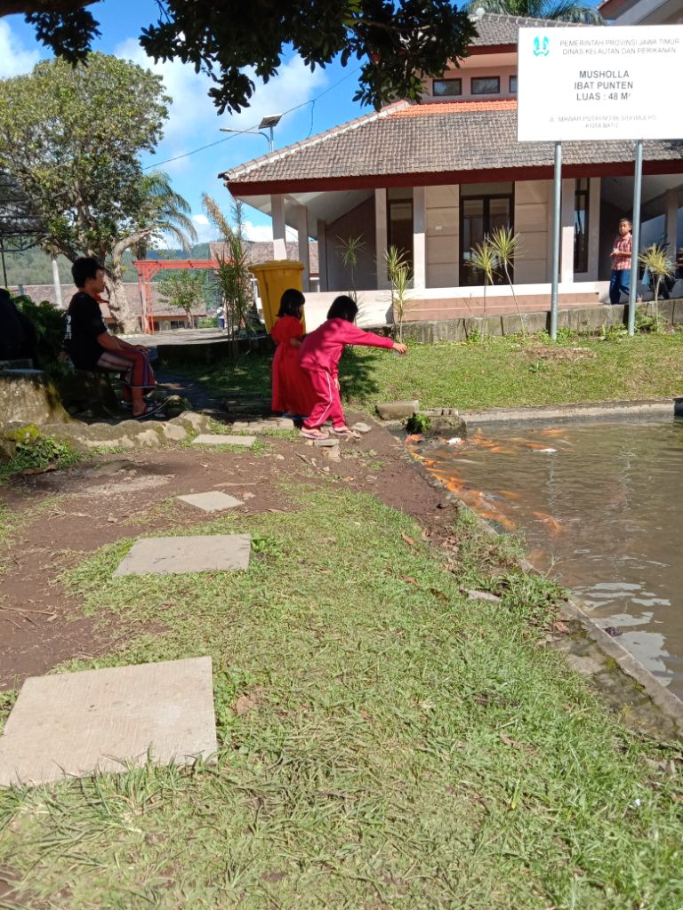 Mumpung Di Rumah, Lanjutin Hobi Pelihara Ikan Yang Suka Tertunda