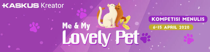 Antara Edward dan Ane, A Sweet Story of My Lovely Cat!