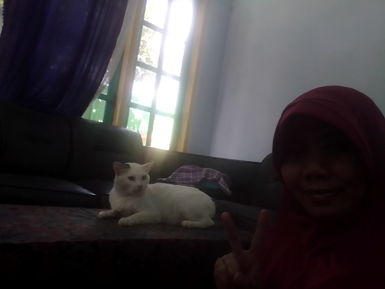 Antara Edward dan Ane, A Sweet Story of My Lovely Cat!