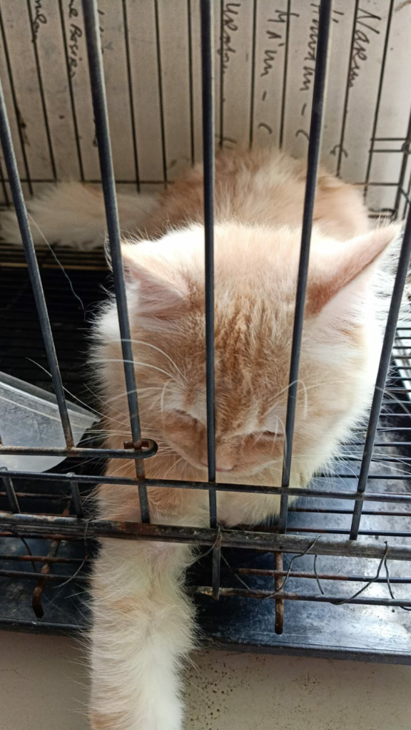Pertemuan Yang Menggemaskan