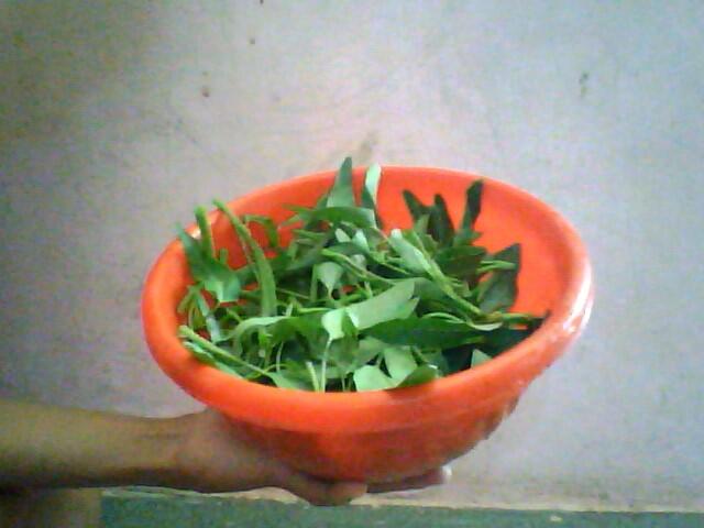 Enaknya Tumis kangkung buatan sendiri yang dapat menggoda lidah.