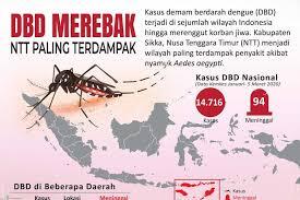 Info Seputar : Covid-19, Demam Berdarah, dan Bencana Alam sampai saat ini.