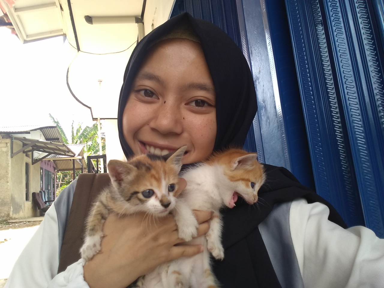 Cara Mengurus Kucing Liar Yang Masih Kecil, Jangan Anggap Ribet!