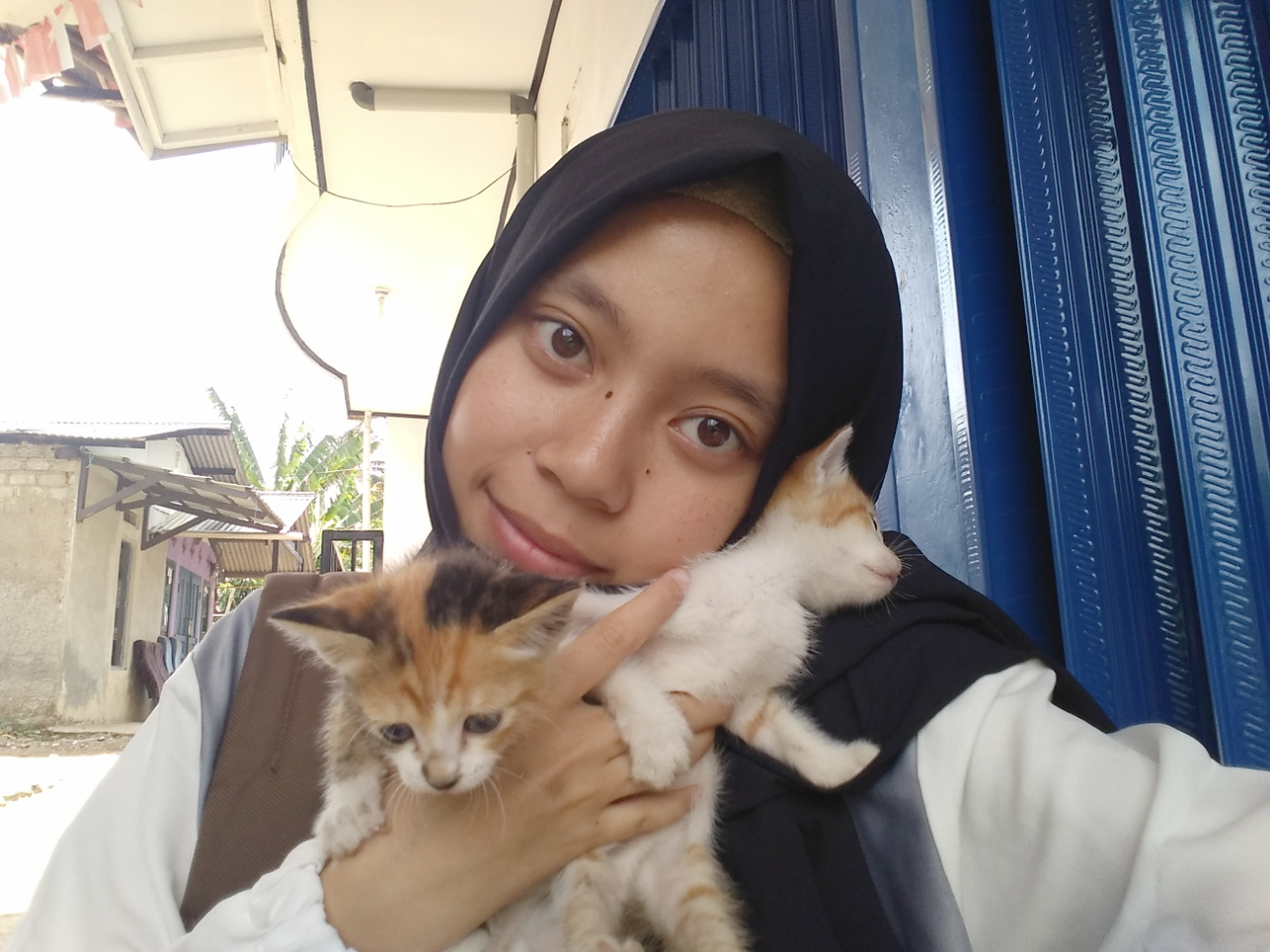 Cara Mengurus Kucing Liar Yang Masih Kecil, Jangan Anggap Ribet!