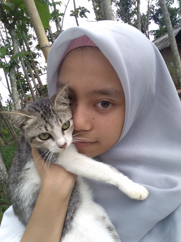Cara Mengurus Kucing Liar Yang Masih Kecil, Jangan Anggap Ribet!