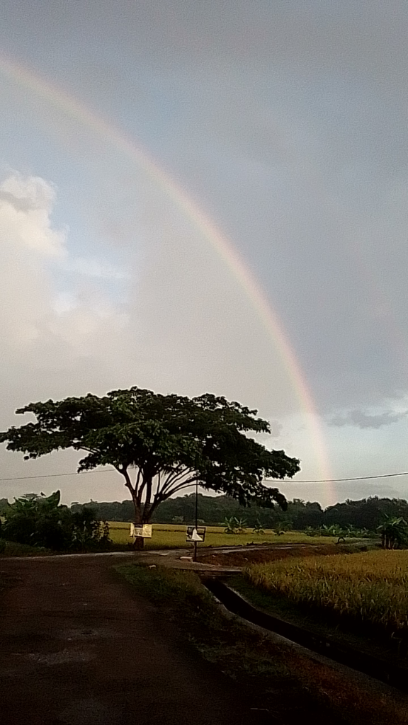 Pelangi Di Mataku