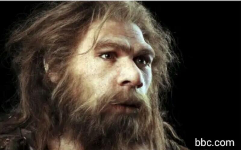 Mengenal Neanderthal, Manusia Purba yang Menghormati Orang Mati