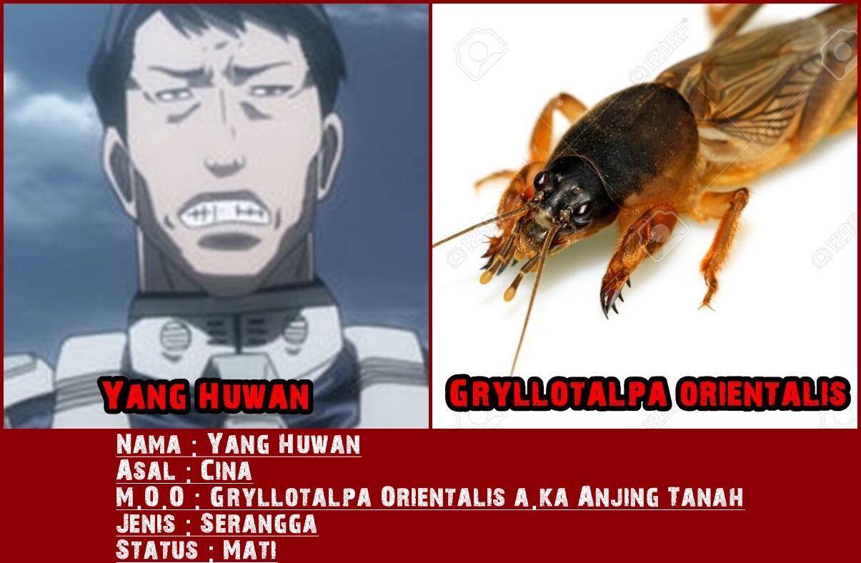 Dasar Mosaic Organ Operation pada tiap Karakter Terraformars