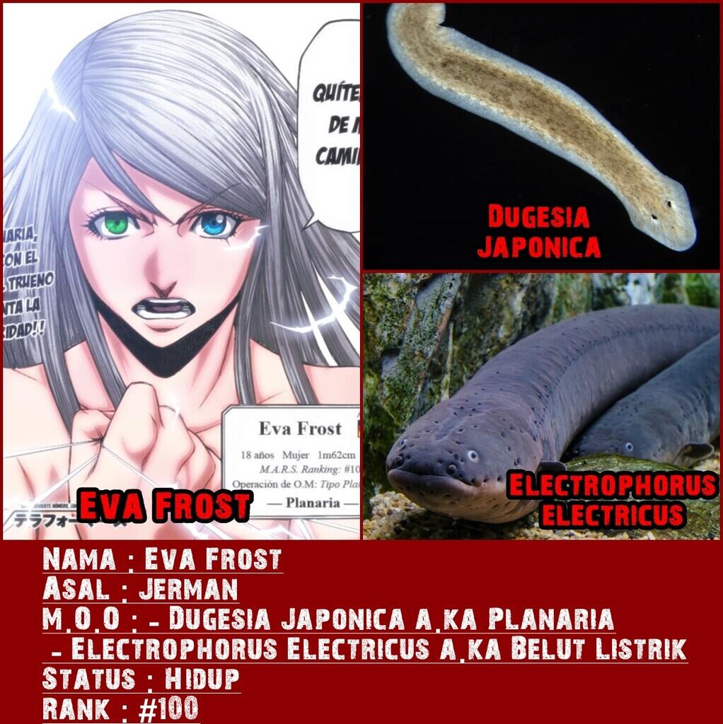Dasar Mosaic Organ Operation pada tiap Karakter Terraformars