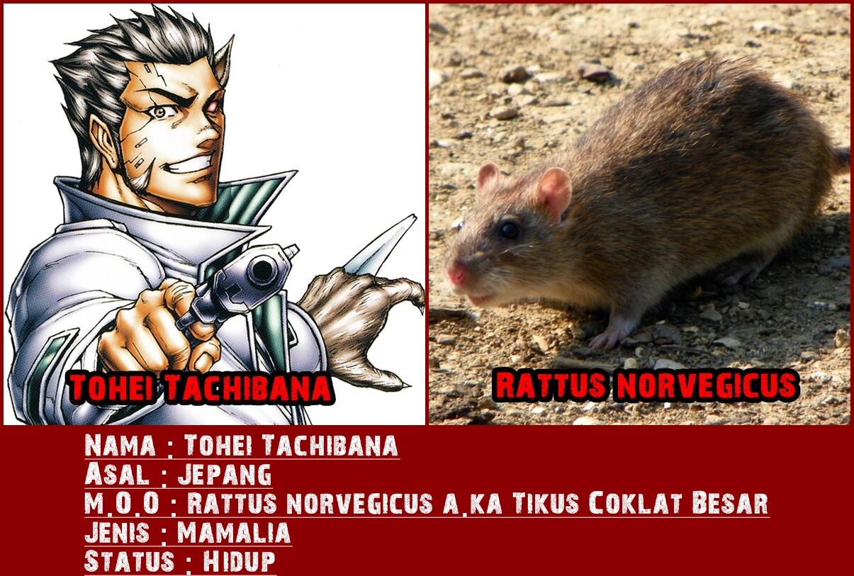 Dasar Mosaic Organ Operation pada tiap Karakter Terraformars