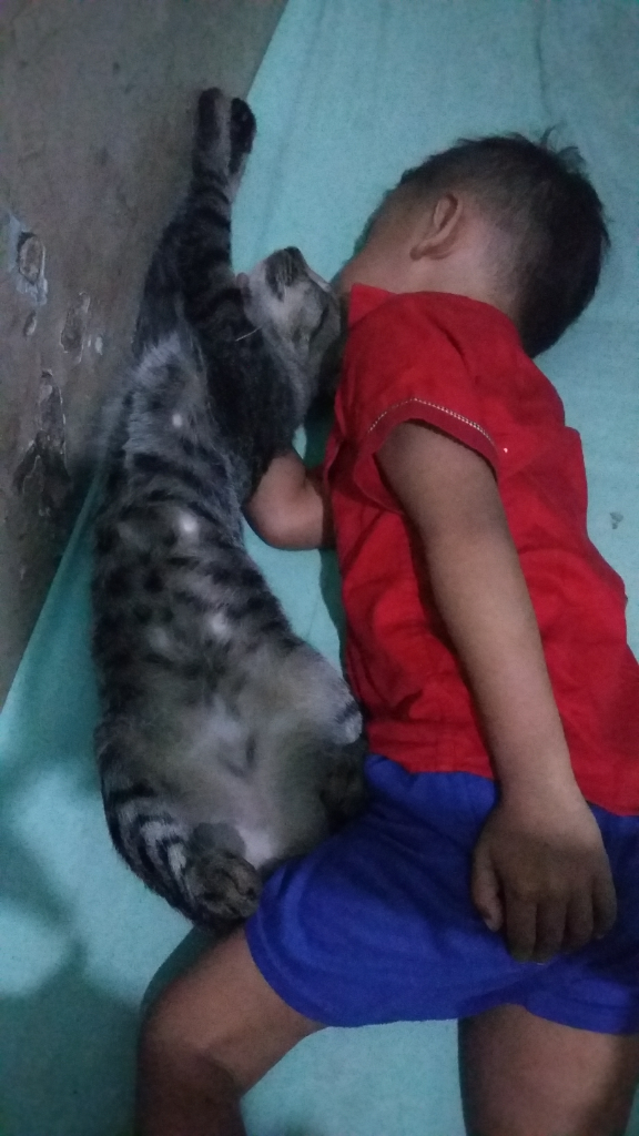 Melatih Rasa Empati Pada Anak Lewat Si Manis Berbulu Comel