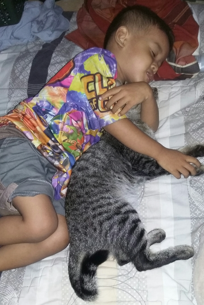 Melatih Rasa Empati Pada Anak Lewat Si Manis Berbulu Comel