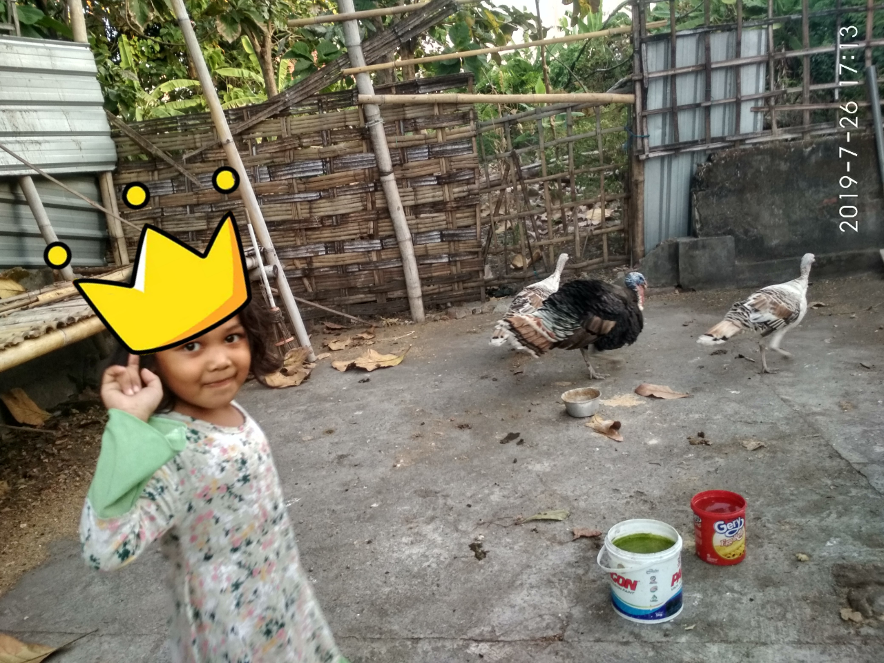 Hidup Berdampingan dengan Kalkun? Begini, Nih, Rasanya