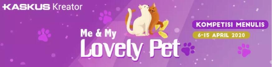 Tak Masalah Pelihara Ular Di Rumah, Asal Kamu Paham Hal-Hal Berikut Ini.