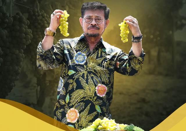 Protes Eksportir Buah Australia, DPR Minta KPK Usut Mentan