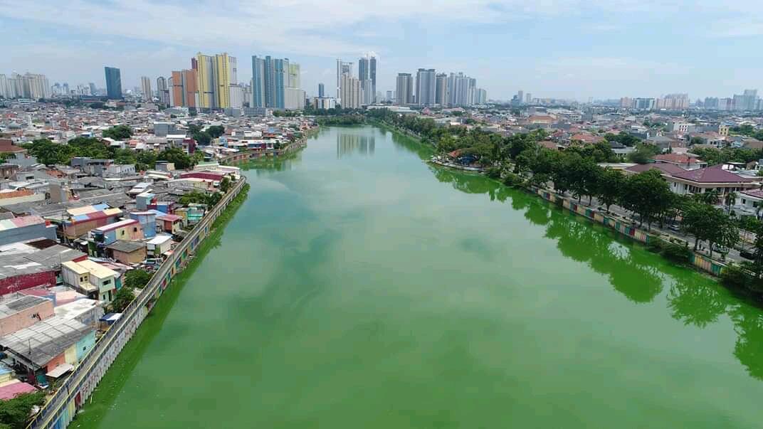 5 Hari Masa PSBB, Sungai Sunter Jakarta Tampak Begitu Tenang
