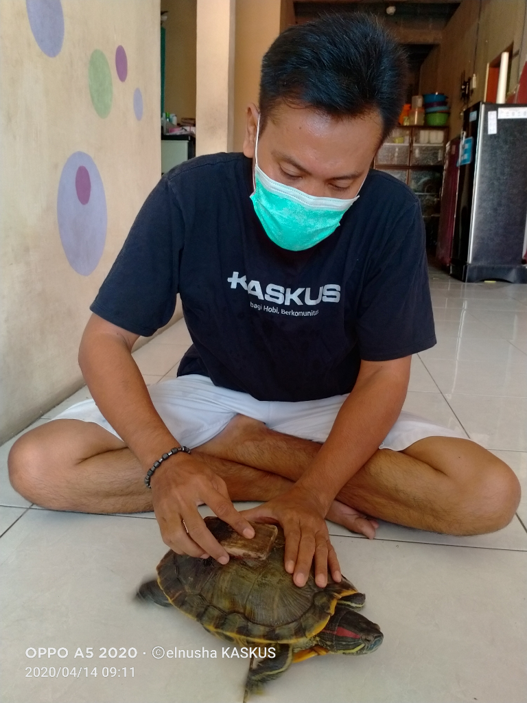 Namanya Kara Tapi Bukan Santan