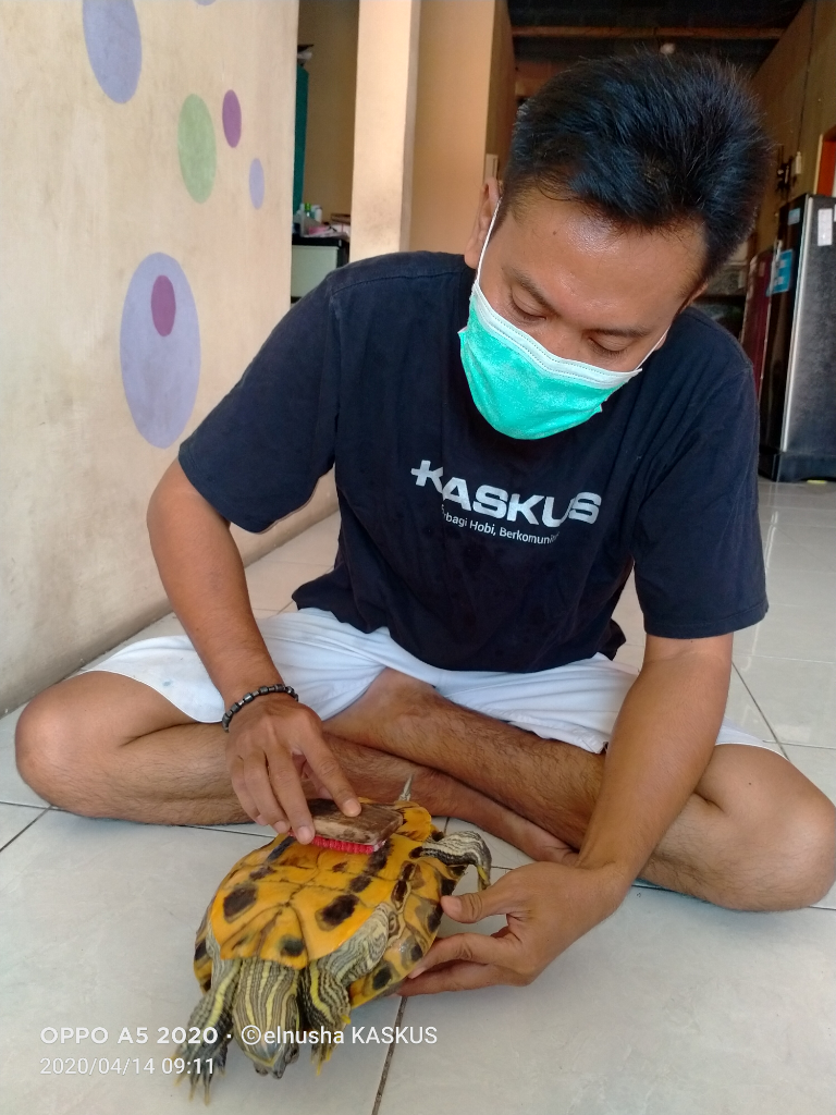 Namanya Kara Tapi Bukan Santan