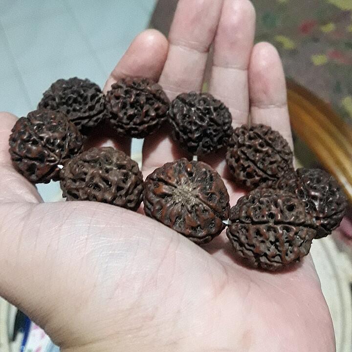 Lelang Apa Adanya Close Minggu 19/04 - 21.00 WIB