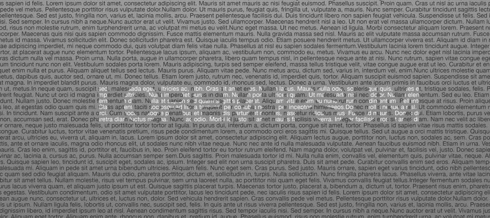 Lorem Ipsum