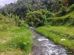 Wong Samar, Sosok Manusia Tak Kasat Mata Disekitar Kita