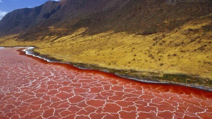 Manusia Dilarang Berwisata ke Tempat-tempat Ini! Kenapa Ya? 