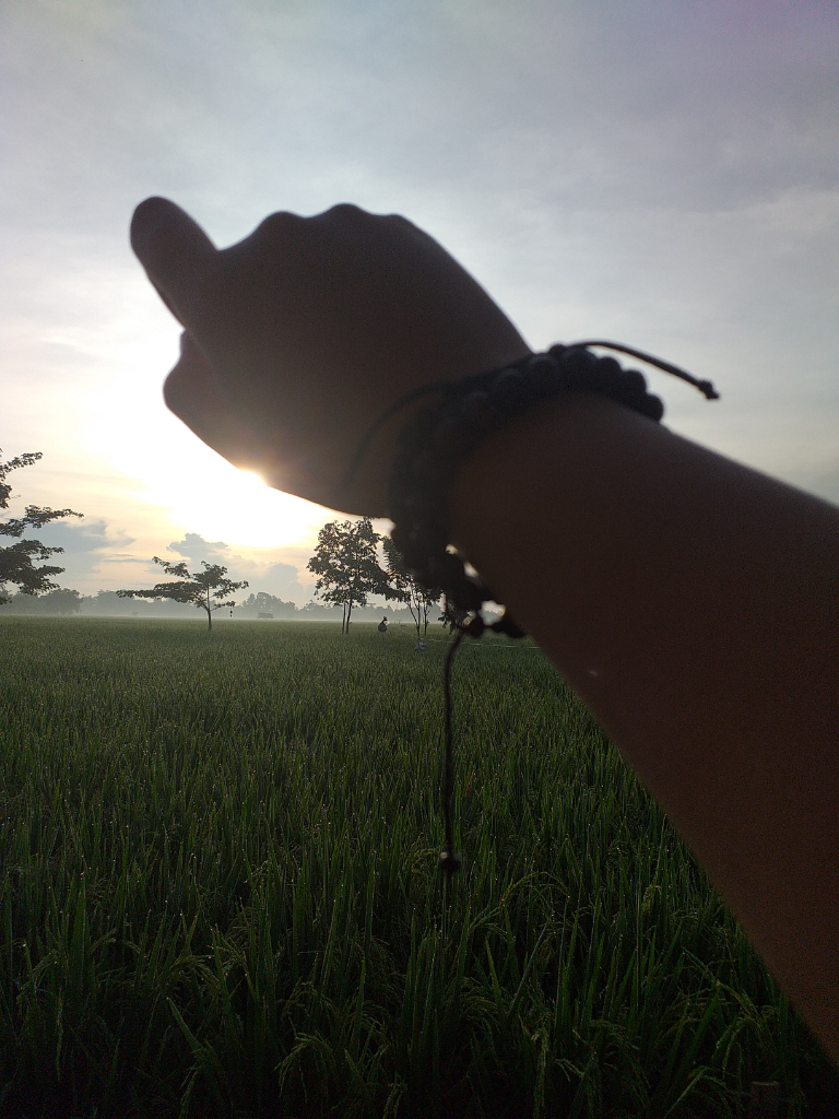 Krisis Hati