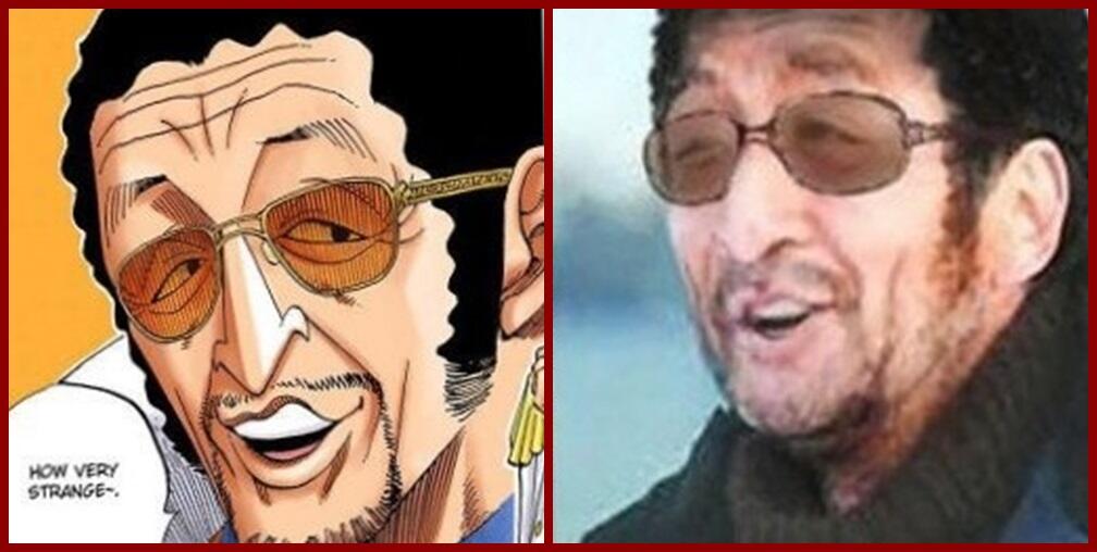 Referensi Karakter Anime One Piece