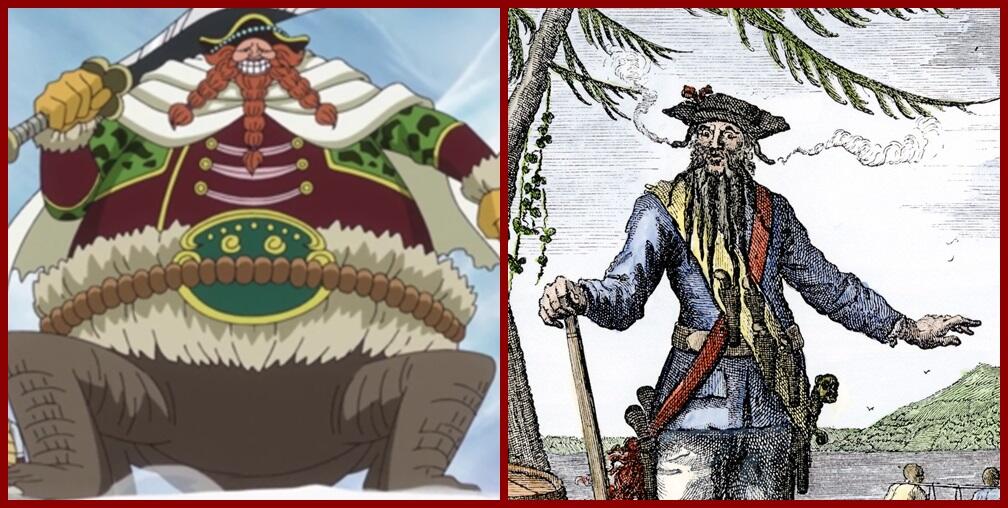 Referensi Karakter Anime One Piece