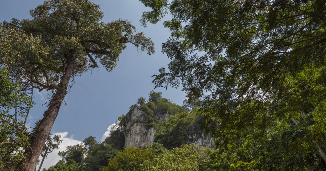 Tempat Wisata Yang Mempesona di Kalimantan Utara, Abis Corona Yuk Liburan Kesini Gan!