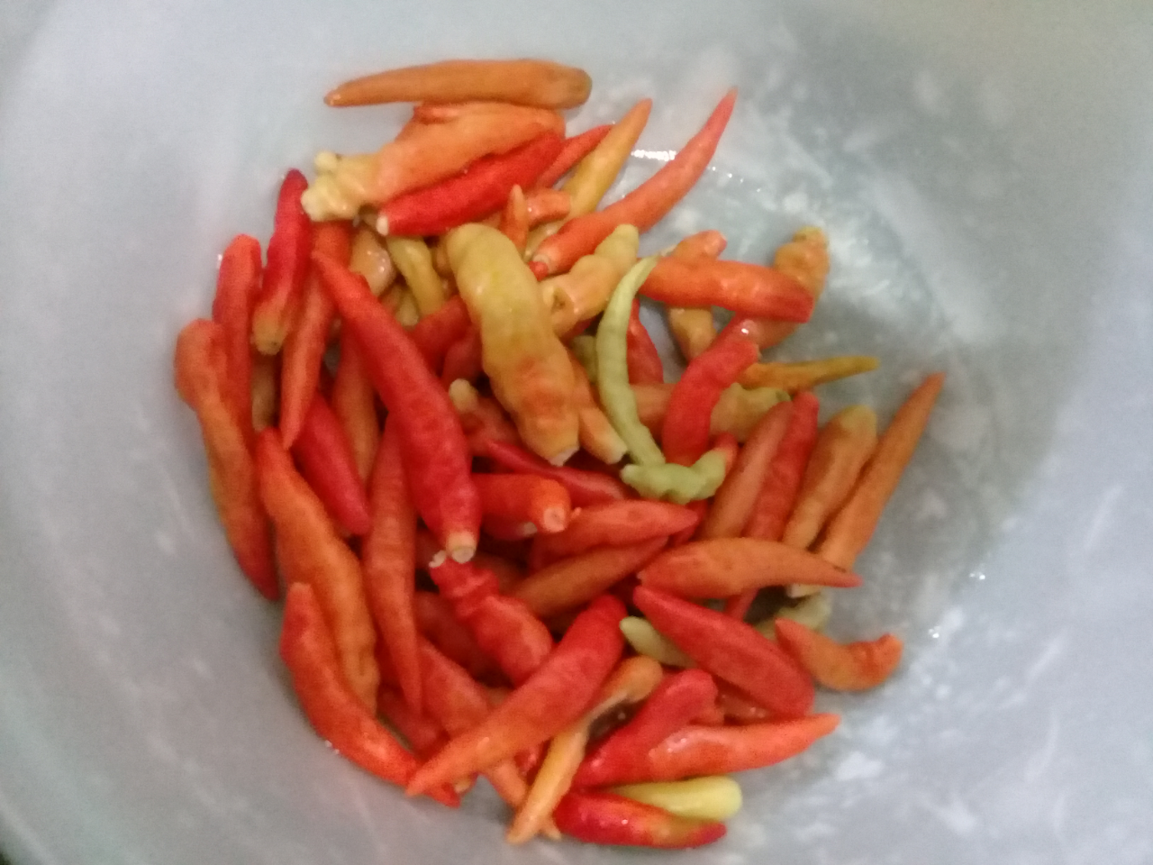 Makan Siang? Kuy Kita Intip Ayam Geprek Sambel Pedas Bikin Dower 