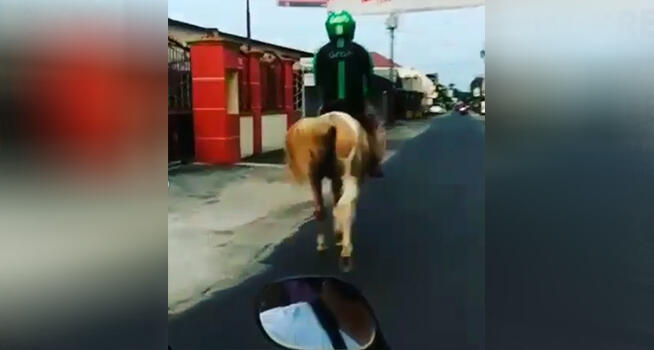 Bak Pangeran Berkuda Putih! Uniknya Rider Ojol Satu Ini Menggunakan Kuda Bukan Motor