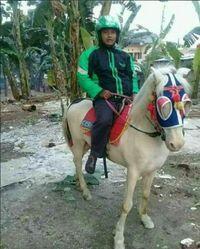 Bak Pangeran Berkuda Putih! Uniknya Rider Ojol Satu Ini Menggunakan Kuda Bukan Motor
