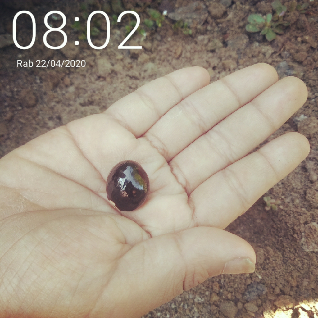 Kebaikan Kecil Versi Ane, Silakan Ditiru, Gansist!