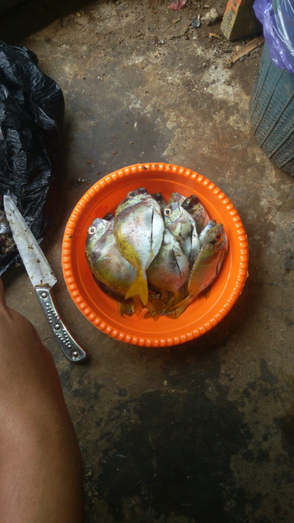 &quot;Ikan Baronang Sadar Kela Celok&quot; Menu Berbuka Puasa Saat Pandemi Korona