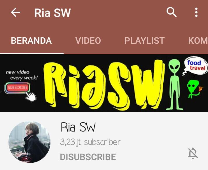 4 Alasan, Mengapa Ria SW Harus Jadi Panutan Youtuber Pemula!