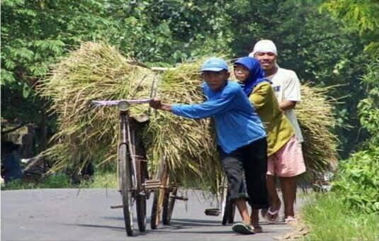Sedikit Membantu Mengurus Berkas-berkas Orang Desa Karena Jarak Yang Jauh