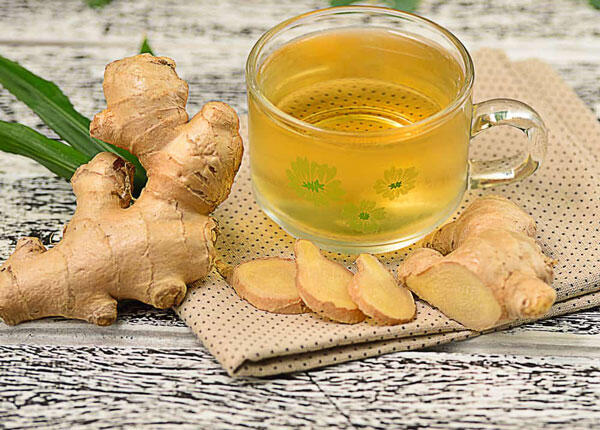 5 Tanaman yang Menjadi Buruan Saat Corona