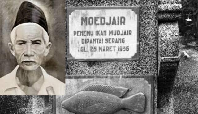 Penemu Ikan Mujair