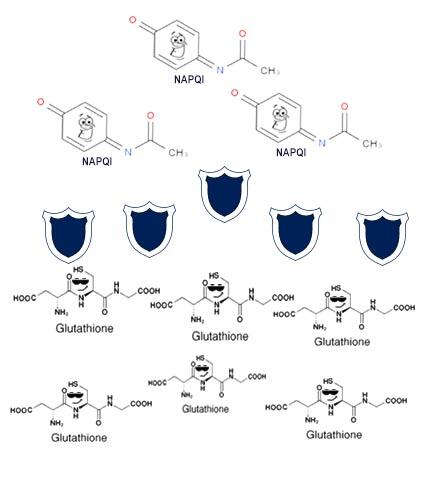 Paracetamol, Penurun Panas, Pereda Nyeri, Tapi Meracuni Hati