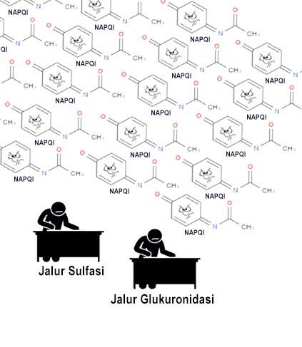 Paracetamol, Penurun Panas, Pereda Nyeri, Tapi Meracuni Hati